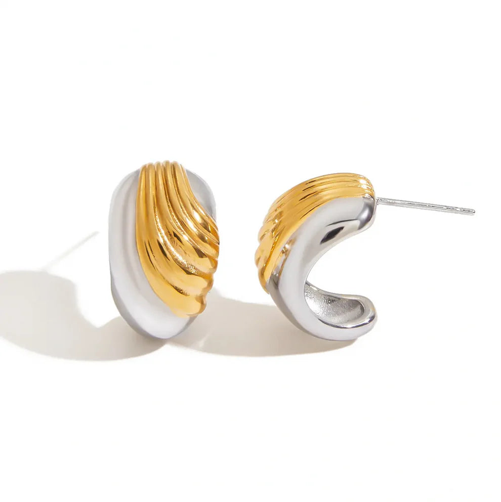 Two-Tone Design Earrings