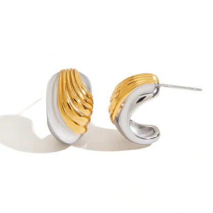 Two-Tone Design Earrings